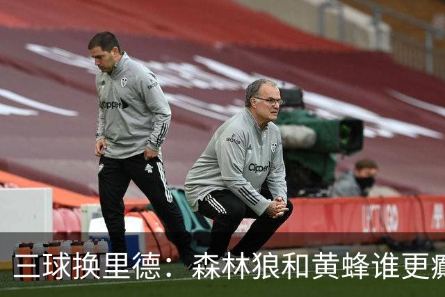 三球换里德：森林狼和黄蜂谁更癫？！