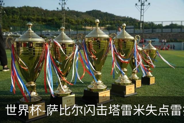 世界杯-萨比尔闪击塔雷米失点雷扎伊扬扳平 半场埃及1-1伊朗