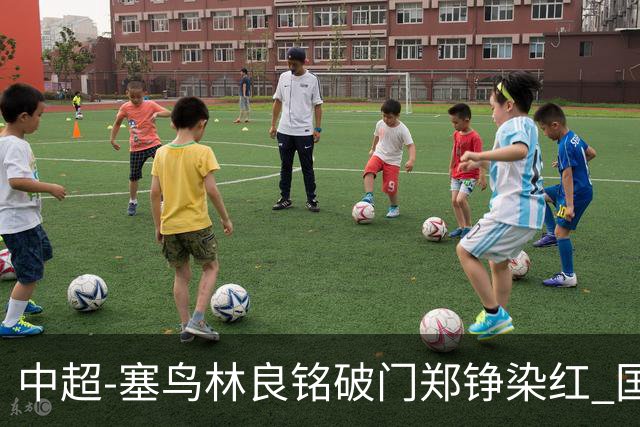 中超-塞鸟林良铭破门郑铮染红 国安2-0泰山取三连胜